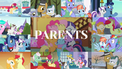 Size: 1976x1113 | Tagged: safe, edit, edited screencap, editor:quoterific, screencap, applejack, aquamarine, bow hothoof, bright mac, cloudy quartz, cookie crumbles, fluttershy, gentle breeze, hondo flanks, igneous rock pie, limestone pie, linky, lyra heartstrings, night light, pear butter, pinkie pie, posey shy, rainbow dash, rarity, shoeshine, sweetie belle, twilight sparkle, twilight velvet, windy whistles, earth pony, pegasus, pony, unicorn, a canterlot wedding, flutter brutter, g4, hearthbreakers, inspiration manifestation, magical mystery cure, parental glideance, sisterhooves social, the crystalling, the cutie mark chronicles, the perfect pear, collage, dad six, group hug, hug, kissing, looking at each other, mane six, mom six, parent, unicorn twilight