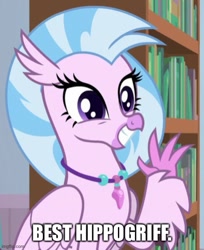 Size: 500x613 | Tagged: safe, edit, edited screencap, screencap, silverstream, classical hippogriff, hippogriff, a horse shoe-in, g4, best hippogriff, best pony, bookshelf, caption, cheerful, claws, cropped, cute, cutest hippogriff alive, diastreamies, female, grin, image macro, imgflip, jewelry, necklace, smiling, solo, talons, teenager, text, waving