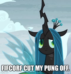 Size: 500x518 | Tagged: safe, edit, edited screencap, screencap, queen chrysalis, pony, frenemies (episode), g4, caption, cropped, image macro, imgflip, implied discord, solo, text