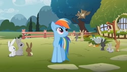 Size: 1920x1080 | Tagged: safe, screencap, rainbow dash, flying squirrel, pegasus, pony, rabbit, squirrel, g4, may the best pet win, animal, cute, female, fluttershy's cottage