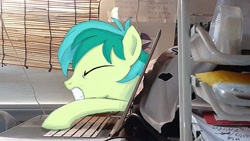 Size: 1280x720 | Tagged: safe, artist:johnerose126, sandbar, pony, g4, computer, fourth wall, irl, laptop computer, photo, ponies in real life, solo