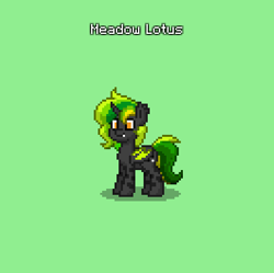 Size: 397x395 | Tagged: safe, oc, oc only, oc:meadow lotus, changeling, pony, pony town, green changeling, solo