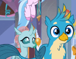 Size: 390x303 | Tagged: safe, screencap, gallus, ocellus, silverstream, smolder, changedling, changeling, griffon, hippogriff, g4, she's all yak, animated, cropped, cute, diaocelles, duo focus, female, gallabetes, gasp, gasping, gif, male, wavy mouth