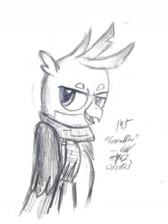 Size: 1408x1872 | Tagged: safe, artist:johnerose126, gallus, griffon, g4, clothes, monochrome, scarf, smiling, smirk, solo, traditional art