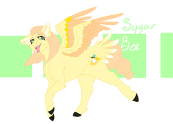 Size: 1042x745 | Tagged: safe, artist:minikitty101, oc, oc only, oc:sugar bee, pegasus, pony, female, magical gay spawn, mare, offspring, parent:big macintosh, parent:zephyr breeze, parents:zephyrmac, solo, tail feathers