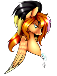 Size: 1200x1600 | Tagged: safe, artist:minelvi, oc, oc only, pegasus, pony, bust, jewelry, necklace, pegasus oc, simple background, solo, transparent background, wings