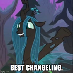Size: 500x502 | Tagged: safe, edit, edited screencap, screencap, queen chrysalis, changeling, changeling queen, frenemies (episode), g4, best pony, caption, crown, cute, cutealis, female, happy, image macro, imgflip, jewelry, mare, needs more jpeg, regalia, smiling, solo, text, truth