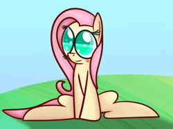 Size: 1280x959 | Tagged: safe, artist:mr-degration, fluttershy, pegasus, pony, g4, cute, female, sitting, solo