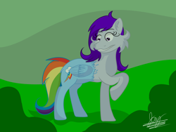 Size: 4200x3150 | Tagged: safe, artist:jay_wackal, oc, oc:morning glory (project horizons), pegasus, pony, fallout equestria, fallout equestria: project horizons, amateur, character to character, digital art, fanfic art, gritted teeth, killing joke, not rainbow dash, not rarity, poison joke, transformation