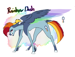 Size: 1714x1298 | Tagged: safe, artist:erroremma, rainbow dash, pegasus, pony, g4, colored wings, feathered fetlocks, multicolored wings, rainbow wings, redesign, simple background, solo, tail feathers, transparent background, wings