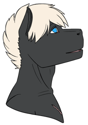Size: 646x917 | Tagged: safe, artist:imreer, oc, oc only, earth pony, anthro, bust, earth pony oc, simple background, solo, transparent background