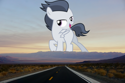 Size: 2700x1800 | Tagged: safe, artist:frownfactory, artist:thegiantponyfan, rumble, pegasus, pony, g4, california, colt, death valley, giant ponies in real life, giant pony, highrise ponies, irl, macro, male, mega giant, photo, ponies in real life
