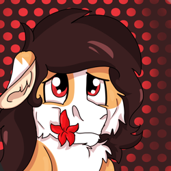 Size: 2000x2000 | Tagged: safe, artist:euspuche, oc, oc only, oc:liliya krasnyy, earth pony, pony, bust, cheek fluff, chest fluff, female, flower, flower in mouth, fluffy, high res, looking at you, mouth hold, portrait