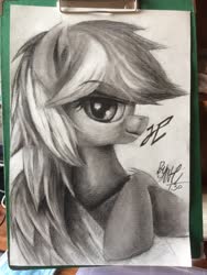Size: 2448x3264 | Tagged: safe, artist:nihaicreeper, oc, oc only, oc:enderby, pegasus, pony, female, high res, looking at you, solo, traditional art