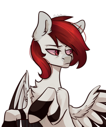 Size: 2500x3000 | Tagged: safe, artist:chibadeer, pegasus, pony, bust, high res, male, portrait, simple background, solo, stallion, white background