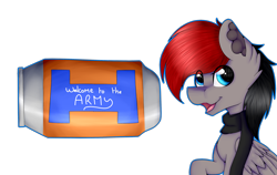 Size: 2800x1768 | Tagged: safe, artist:chazmazda, oc, oc only, pegasus, pony, unicorn, art, cartoon, clothes, commission, commissions open, digital art, ear fluff, open mouth, portrait, scarf, shade, sign, simple background, solo, transparent background, wings