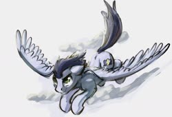 Size: 1658x1128 | Tagged: safe, artist:kam, soarin', pegasus, pony, g4, cloud, flying, male, simple background, sky, solo, spread wings, stallion, white background, wings