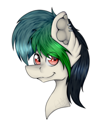Size: 958x1070 | Tagged: safe, artist:chazmazda, oc, oc only, pony, art, bust, cartoon, commission, commissions open, digital art, ear fluff, ear piercing, eye reflection, looking at you, piercing, portrait, reflection, shade, solo