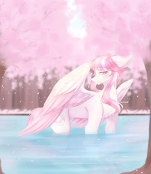 Size: 1280x1477 | Tagged: safe, artist:chieluff, oc, oc only, pegasus, pony, cherry blossoms, female, flower, flower blossom, mare, solo, water