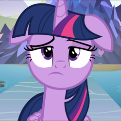 Size: 935x939 | Tagged: safe, screencap, twilight sparkle, alicorn, pony, g4, school daze, close-up, cropped, female, floppy ears, folded wings, frown, mare, pond, pouting, raised eyebrow, sad, solo, twilight sparkle (alicorn), wings