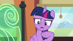 Size: 1280x720 | Tagged: safe, screencap, twilight sparkle, alicorn, pony, g4, the times they are a changeling, faic, female, freakout, friendship express, mare, solo, train, twilight sparkle (alicorn)