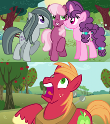 Size: 928x1044 | Tagged: safe, artist:doodleponyxx, edit, edited screencap, screencap, big macintosh, cheerilee, marble pie, sugar belle, earth pony, pony, unicorn, g4, no second prances, apple, apple tree, awkward, best friends, bonding, cropped, female, food, freckles, friendship, friendshipping, hearts and hooves day, hilarity ensues, holiday, horrified, male, mare, reaction, screaming, shocked, stallion, stunned, surprised, the horror, tree, unshorn fetlocks, valentine's day
