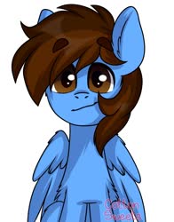 Size: 1100x1400 | Tagged: safe, artist:cottonsweets, oc, oc only, oc:pegasusgamer, chest fluff, ear fluff, happy, looking at you, sitting, smiling, smirk, wings