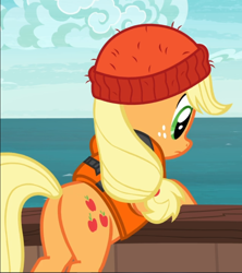 Size: 832x938 | Tagged: safe, screencap, applejack, earth pony, pony, g4, ppov, beanie, butt, cropped, female, freckles, hat, lifejacket, mare, plot, rear view, solo