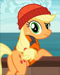 Size: 753x939 | Tagged: safe, screencap, applejack, earth pony, pony, g4, ppov, beanie, butt, cropped, female, freckles, hat, lifejacket, looking at you, looking back, looking back at you, mare, plot, solo