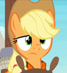 Size: 860x938 | Tagged: safe, screencap, applejack, earth pony, pony, g4, ppov, applejack is not amused, close-up, cropped, dimple, female, green eyes, lifejacket, solo, unamused