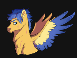 Size: 4000x3000 | Tagged: safe, artist:venommocity, flash sentry, pegasus, pony, g4, bust, male, portrait, solo, stallion, two toned wings, wings