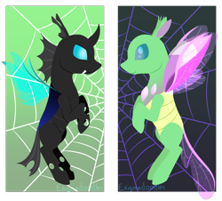 Size: 1050x950 | Tagged: safe, artist:enigmadoodles, frenulum (g4), changedling, changeling, g4, duality, solo, spider web