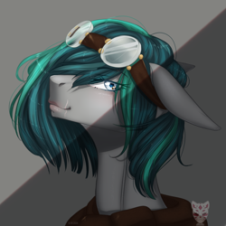 Size: 1000x1000 | Tagged: safe, artist:lastaimin, oc, oc only, oc:lena, pony, bust, female, goggles, mare, portrait, solo