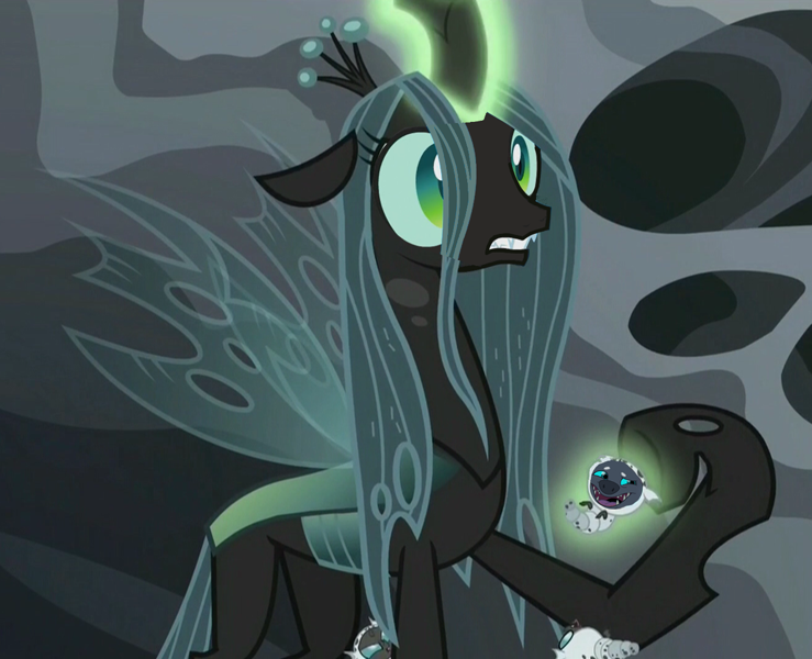 my little pony friendship is magic princess larva