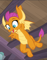 Size: 745x942 | Tagged: safe, screencap, smolder, dragon, g4, molt down, amused, athletic, claws, closet, cropped, dragoness, fangs, female, hanging, horns, impressed, looking down, open mouth, pointing, raised eyebrow, smiling, smirk, solo, spread wings, teenaged dragon, teenager, toes, wings