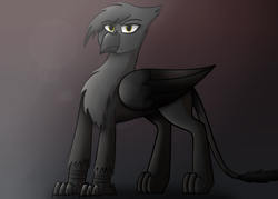 Size: 2800x2000 | Tagged: safe, artist:somber, oc, oc only, oc:heidi blackfeathers, griffon, fallout equestria, colored, fallout equestria: longtalons, fanfic, fanfic art, female, high res, light, looking at you, shadow, solo