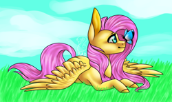 Size: 646x383 | Tagged: safe, artist:blitsazalisdash, artist:fixielle, fluttershy, butterfly, pegasus, pony, g4, butterfly on nose, collaboration, female, insect on nose, mare, open collaboration, prone, smiling, solo, spread wings, wings