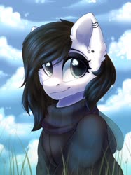 Size: 1535x2048 | Tagged: safe, artist:alphadesu, oc, oc only, oc:lodey darkshine, pony, bust, cheek fluff, clothes, cloud, commission, ear fluff, ear piercing, earring, eyeshadow, female, grass, jewelry, makeup, mare, piercing, scarf, signature, sitting, sky, smiling, solo, sweater, ych result