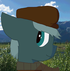 Size: 1567x1596 | Tagged: safe, artist:derpy_the_duck, oc, oc only, oc:millie, earth pony, pony, clothes, hat, photo, solo