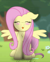 Size: 600x736 | Tagged: safe, artist:bastbrushie, part of a set, fluttershy, pegasus, pony, :3, animated, bastbrushie is trying to kill us, blushing, chest fluff, cute, daaaaaaaaaaaw, eyes closed, female, floppy ears, flower, forest, front view, full face view, gif, happy, head tilt, headbob, hnnng, hoof tapping, outdoors, party soft, shyabetes, sitting, solo, spread wings, tapping, tongue out, weapons-grade cute, wings