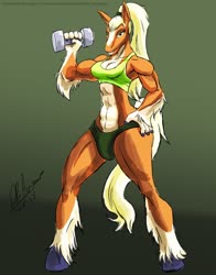Size: 1006x1280 | Tagged: safe, artist:thebigbadwolf01, oc, oc only, oc:annabelle, earth pony, anthro, unguligrade anthro, abs, bra, clothes, dumbbell (object), earth pony oc, female, futa, gradient mane, intersex, muscles, signature, solo, underwear, unshorn fetlocks, weight lifting, weights