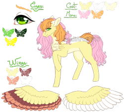 Size: 1002x900 | Tagged: safe, artist:malinraf1615, oc, oc only, oc:ema, pegasus, pony, chest fluff, colored wings, female, mare, multicolored wings, next generation, offspring, parent:big macintosh, parent:fluttershy, parents:fluttermac, raised hoof, reference sheet, simple background, solo, transparent background, watermark, wings