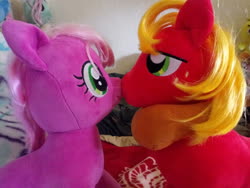 Size: 4160x3120 | Tagged: safe, big macintosh, cheerilee, pony, g4, build-a-bear, female, hearts and hooves day, holiday, horse collar, irl, male, photo, plushie, ship:cheerimac, shipping, straight, valentine's day