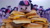 Size: 1920x1080 | Tagged: safe, artist:kuroran, artist:ponimalion, photographer:sometwifag, twilight sparkle, alicorn, pony, g4, :3, burger, cheeseburger, food, hamburger, irl, multeity, photo, plushie, pony plushie, sparkle sparkle sparkle, surrounded, surrounded by plushies, twilight burgkle, twilight cat, twilight sparkle (alicorn), twiloaf