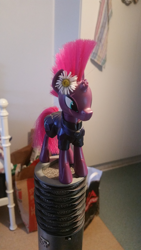 Size: 1836x3264 | Tagged: safe, tempest shadow, pony, g4, flower, flower in hair, irl, photo, solo