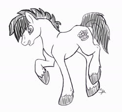 Size: 1948x1797 | Tagged: safe, artist:sapphireiceangel, oc, oc only, oc:plum, earth pony, pony, black and white, commission, grayscale, male, monochrome, signature, simple background, sketch, solo, stallion, white background