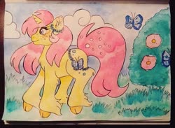 Size: 659x483 | Tagged: safe, artist:annabellderwin, fluttershy, butterfly, pony, unicorn, g4, bush, female, flower, fluttershy (g5 concept leak), g5 concept leak style, g5 concept leaks, grass, hooves, mare, redesign, solo, traditional art, unicorn fluttershy