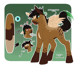 Size: 3500x3000 | Tagged: safe, artist:fizzwings, oc, oc only, oc:signal jammer, pegasus, pony, angry, blank expression, coat markings, dark genitals, facial markings, high res, male, nudity, reference sheet, sheath, small wings, socks (coat markings), solo, star (coat marking), stripes, text, wings