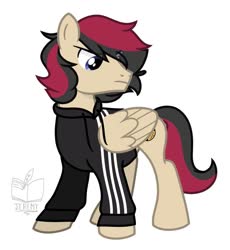 Size: 943x1024 | Tagged: artist needed, safe, oc, oc only, oc:porsche speedwings, pegasus, pony, adidas, base used, blue eyes, clothes, hoodie, male, requested art, show accurate, simple background, slavic, stallion, tracksuit, vector, watermark, white background