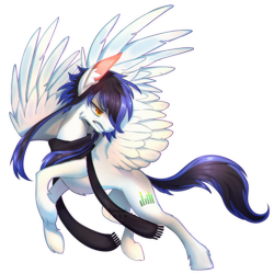 Size: 1280x1280 | Tagged: safe, artist:renciel, oc, oc only, oc:sky digit, pegasus, pony, clothes, scarf, simple background, solo, transparent background